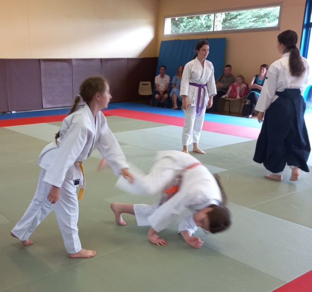 Fichier:Fa juin 2022 2 1.jpg