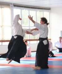 Aikido5 prof.jpg